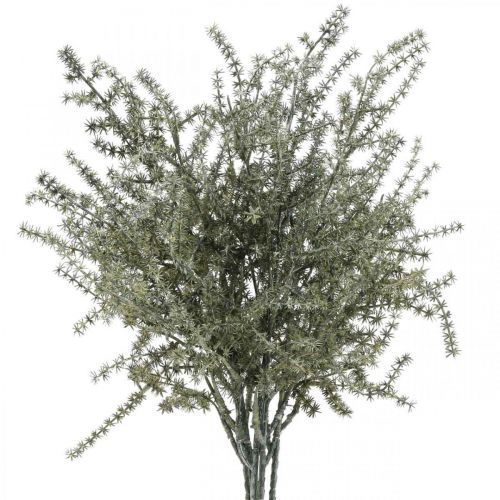 Asparagus deco branch white washed artificial 45cm 6p