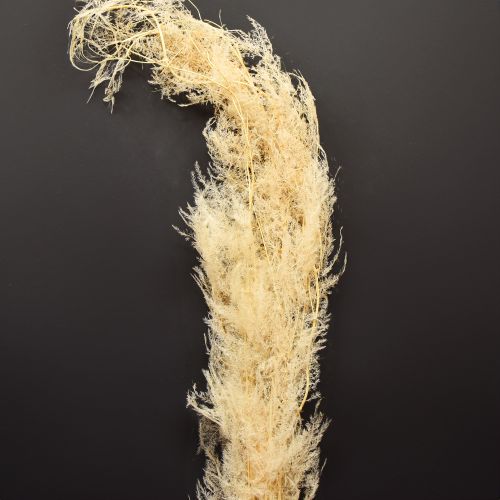 Asparagus dried grasses ornamental asparagus apricot 90cm 5 pcs
