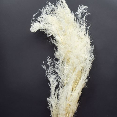 Asparagus Dried Grasses Ornamental Asparagus Cream 90cm 5 pcs
