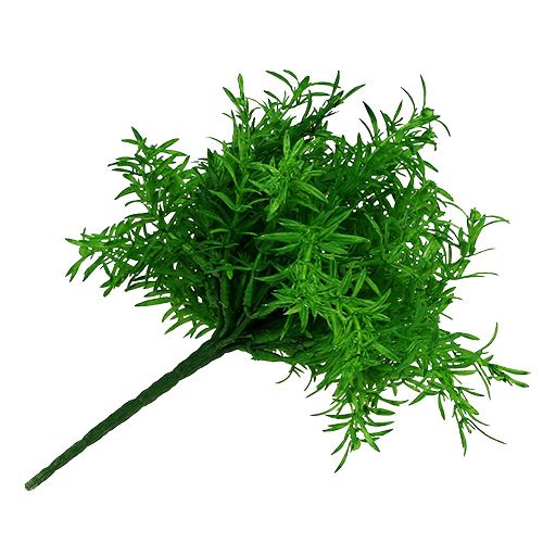 Floristik24 Asparagus bush green 25cm