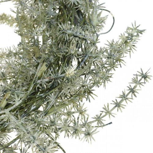 Product Artificial asparagus wreath white, gray Decorative asparagus wreath Ø20cm