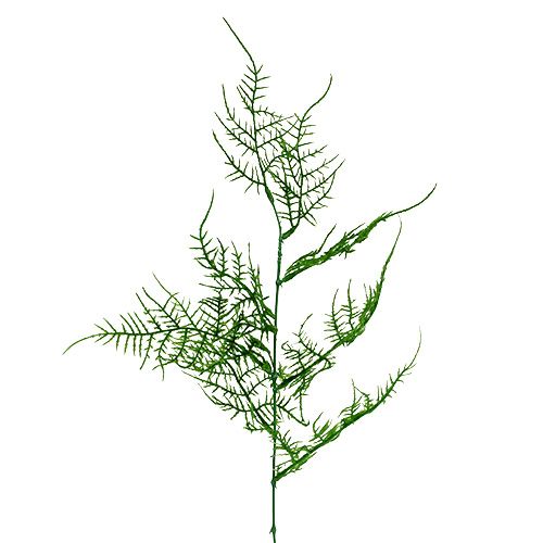 Floristik24 Asparagus branch 50cm green 5pcs