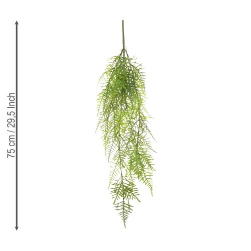 Product Artificial asparagus as a hanging plant for low-maintenance home decoration, 75cm