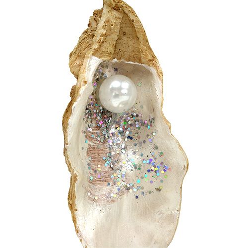 Floristik24 Oyster with pearl and mica to hang 10.5cm
