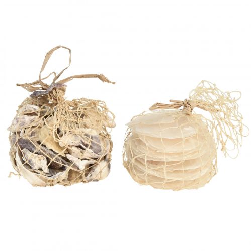 Product Oyster & capiz Sea shells in net Natural 3.5-9.5cm 2pcs