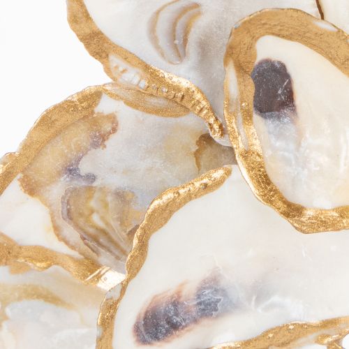 Product Oyster wreath shell decoration, maritime home accessory, natural wall decoration, 12cm