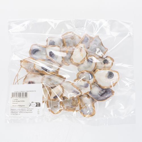 Product Oyster wreath shell decoration, maritime home accessory, natural wall decoration, 12cm