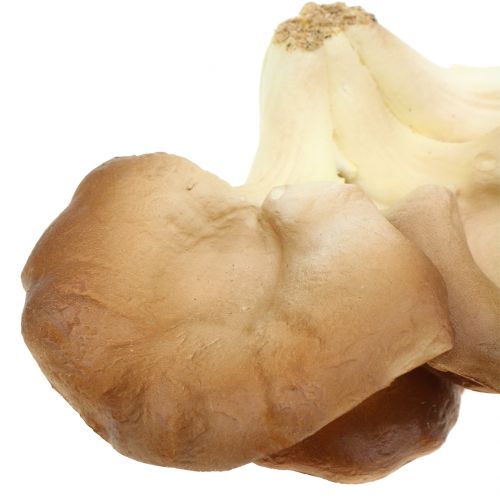Floristik24 Oyster mushroom decorative mushroom brown 12cm x 19cm