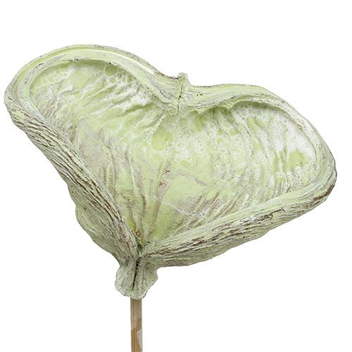 Product Badam on a stick green 25 pieces