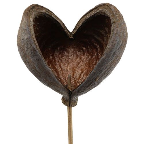 Product Badam on a stick natural 6cm - 12cm 23 pcs