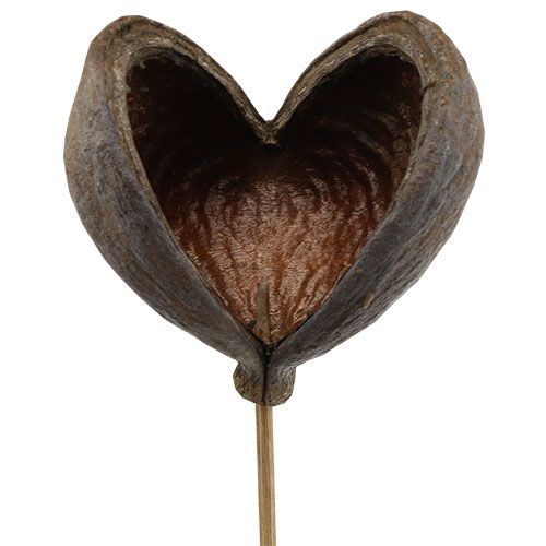 Product Badam on a stick nature 6cm - 12cm 23pcs