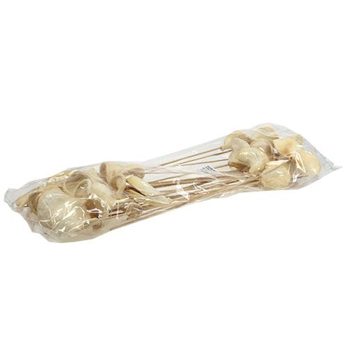 Floristik24 Badam on a stick bleached 6cm - 12cm L55cm 23 pcs
