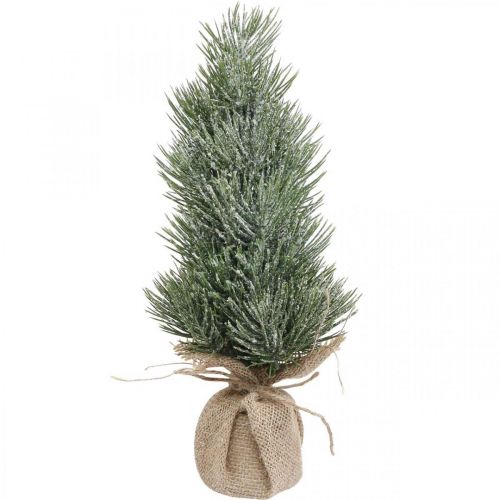 Floristik24 Mini Christmas tree artificially snowed in a sack H33cm