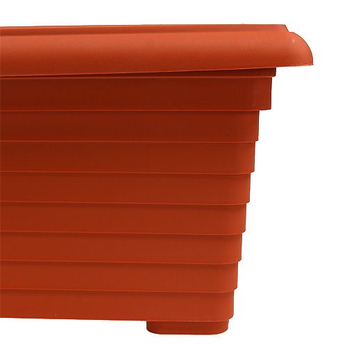 Floristik24 Balcony box &quot;Nowa&quot; terracotta 64cm, 1p