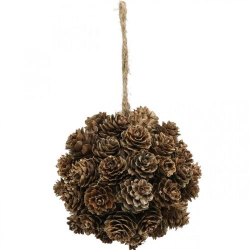 Floristik24 Larch cone hanging decoration cones for hanging nature Ø10cm