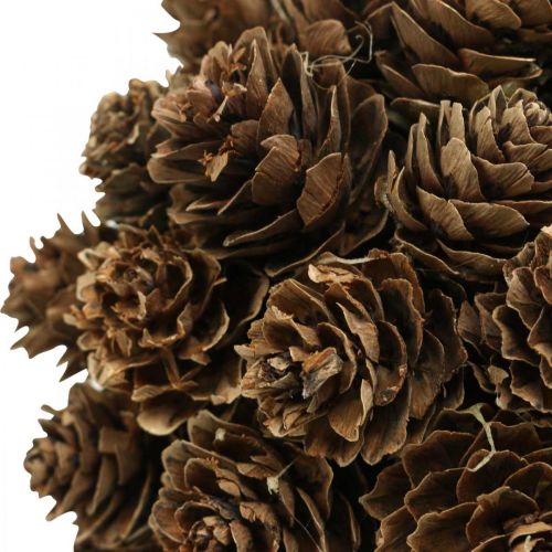 Product Larch cone hanging decoration cones for hanging nature Ø10cm