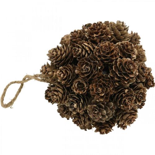 Product Larch cone hanging decoration cones for hanging nature Ø10cm