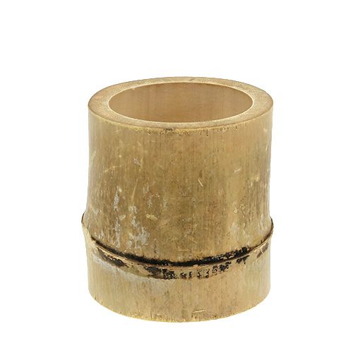 Floristik24 Bamboo planter Ø7cm H10cm