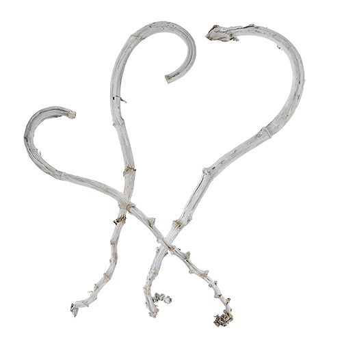 Floristik24 Banana Stick White 5 pcs