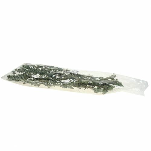 Product Banana Stem Deco Branch Green, white washed 20 pcs