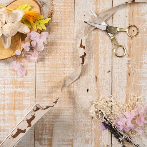 Decorative Ribbon with Dachshund Motif, 15mm x 18m, Cream and Brown, 100% Polyester | Floristik24.co.uk