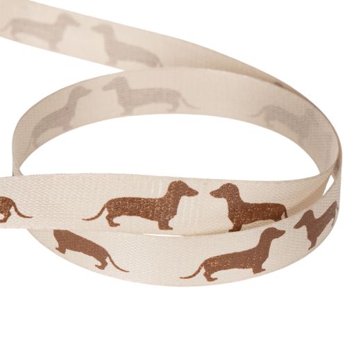Decorative Ribbon with