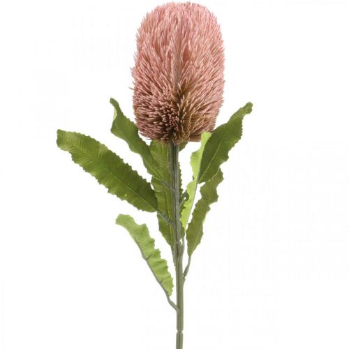 Product Artificial flower Banksia pink autumn decoration commemorative floristry 64cm