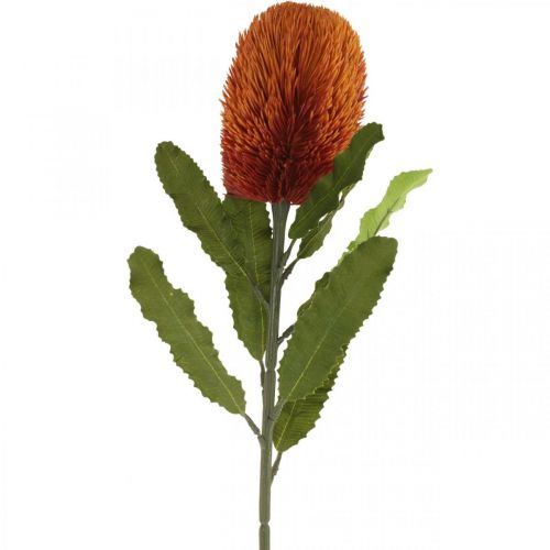 Floristik24 Artificial Flower Banksia Orange Autumn Decoration Funeral Flowers 64cm