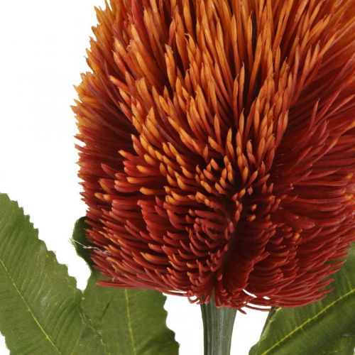 Artificial Flower Banksia Orange Autumn Decoration Funeral Flowers 64cm