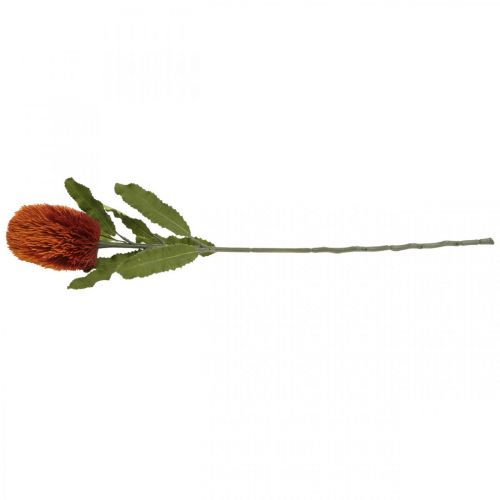 Product Artificial Flower Banksia Orange Autumn Decoration Funeral Flowers 64cm