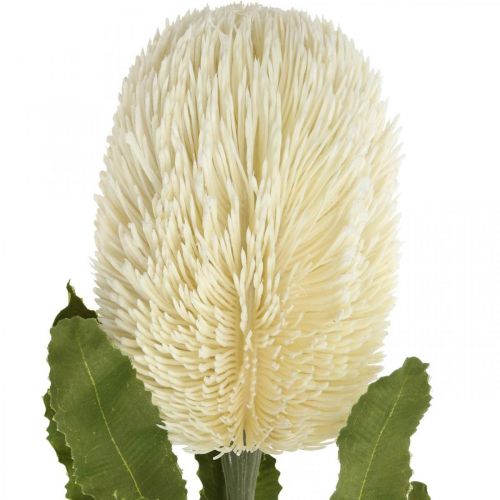 Product Artificial Flower Banksia White Cream Artificial Exotics 64cm