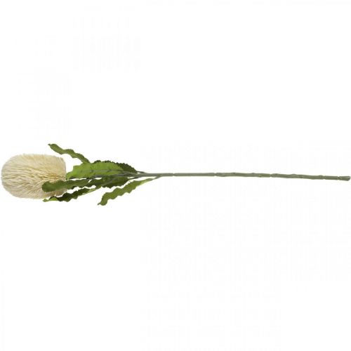 Product Artificial Flower Banksia White Cream Artificial Exotics 64cm