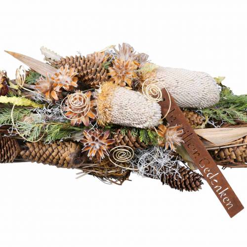 Floristik24 Banksia Hookerana natural 7pcs