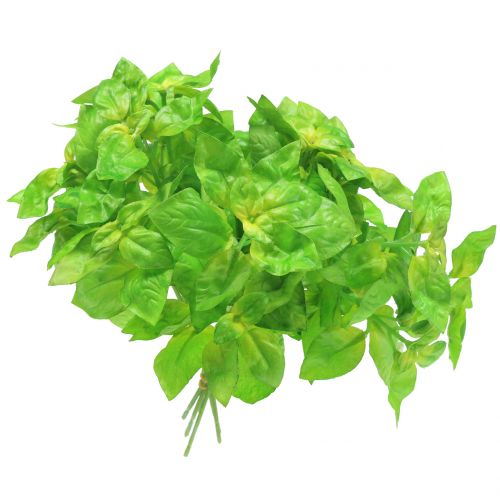 Floristik24 Basil artificial green 25cm 6pcs