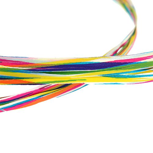 Floristik24 Bast as Gift ribbon for decoration colorful 200m