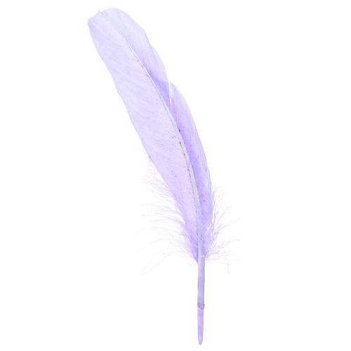 Floristik24 Craft Feathers in Purple Goose Feathers Dyed 20g x 2pcs