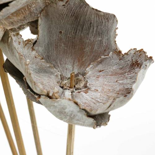 Product Palm Cup on a stick white washed 25 pcs.