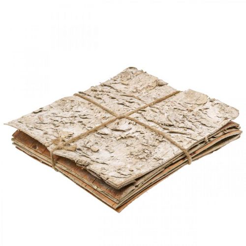 Floristik24 Tree bark deco bark square birch bark nature 20×20cm 6pcs