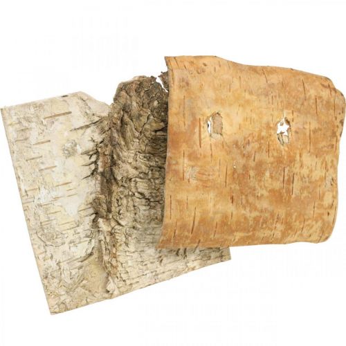Floristik24 Tree bark decorative bark square birch bark natural 10×10cm 6 pcs