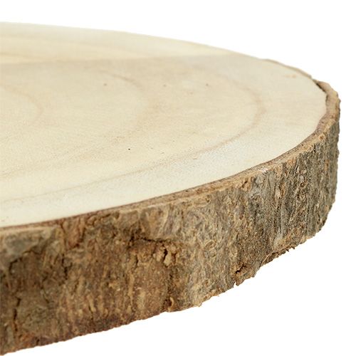 Floristik24 Tree slice nature Ø20cm - 30cm