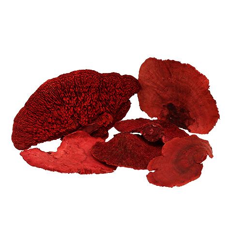 Floristik24 Tree sponge red 1kg