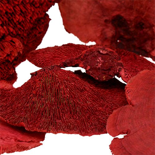 Floristik24 Tree sponge red 1kg