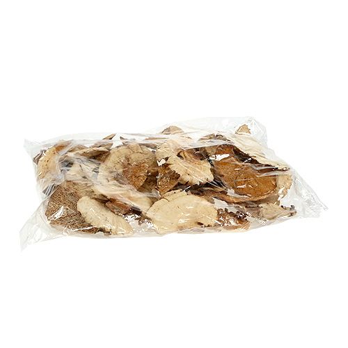 Floristik24 Tree sponge bleached 1kg