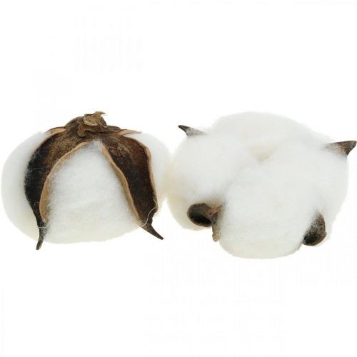 Product Cotton flower decoration dried cotton natural decoration Ø6cm 12 pcs