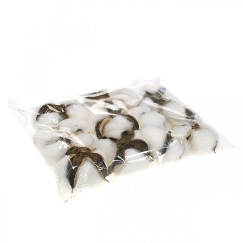 Product Cotton flower decoration dried cotton natural decoration Ø6cm 12 pcs