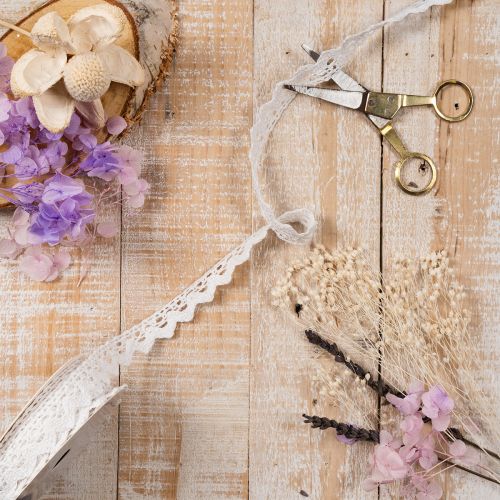 Decorative lace ribbon, fine cotton trim for handicrafts, 15mm wide, 10m long | Floristik24.co.uk