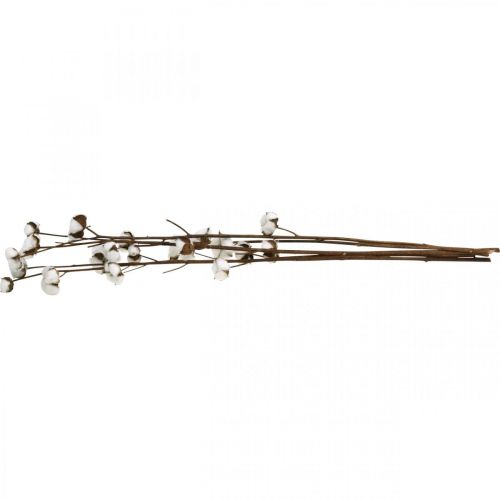 Product Cotton branch, cotton decorative branch, real cotton L80cm 5 pcs