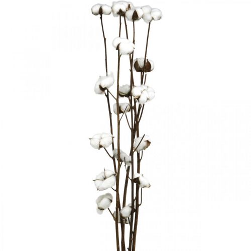 Product Cotton branch, cotton decorative branch, real cotton L80cm 5 pcs