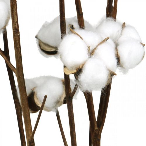 Product Cotton branch, cotton decorative branch, real cotton L80cm 5 pcs