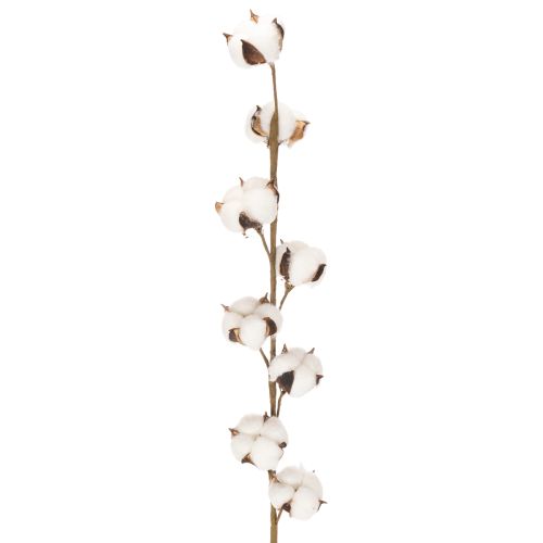 Artificial cotton branch with 8 real flowers, 78cm buy online | Floristik24.co.uk